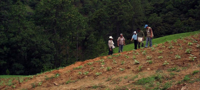 FAO warns 90 per cent of Earth’s topsoil at risk by 2050 