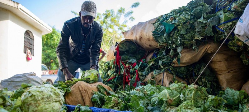 First Person: Taking to the sea to deliver aid in Haiti