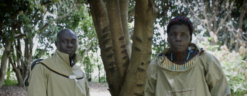 First Person: The honey business owner creating a buzz in northern Uganda