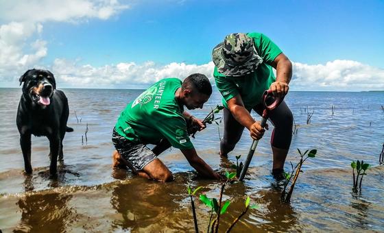 From the Field: Young Fijians work with older generation for a sustainable future