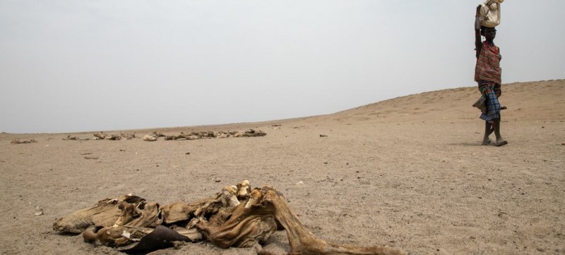 WMO: Greater Horn of Africa drought forecast to continue for fifth year 