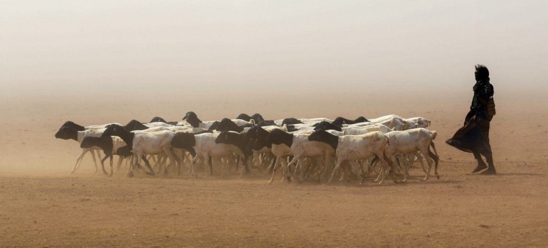 WMO: Greater Horn of Africa drought forecast to continue for fifth year 