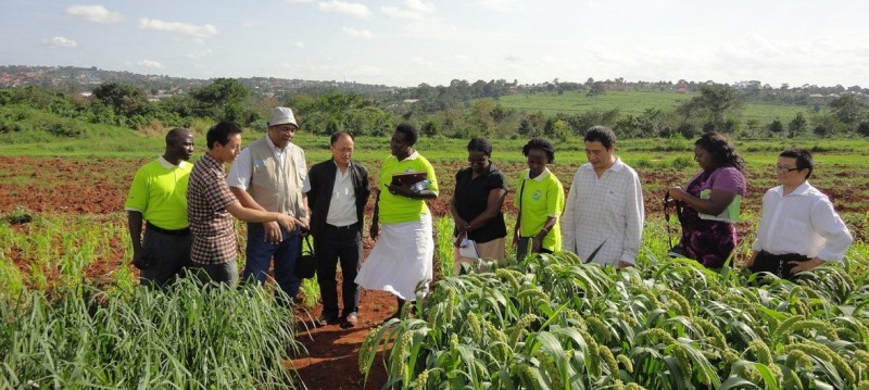 Global UN forum showcases need, impact of South-South cooperation