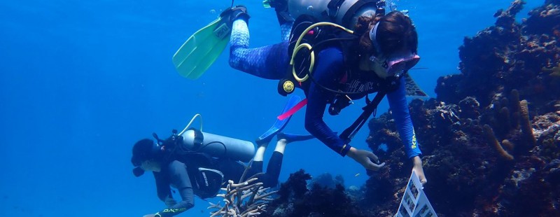 Women lead marine restoration efforts in the UNESCO Seaflower Biosphere Reserve