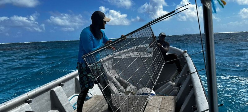 Women lead marine restoration efforts in the UNESCO Seaflower Biosphere Reserve