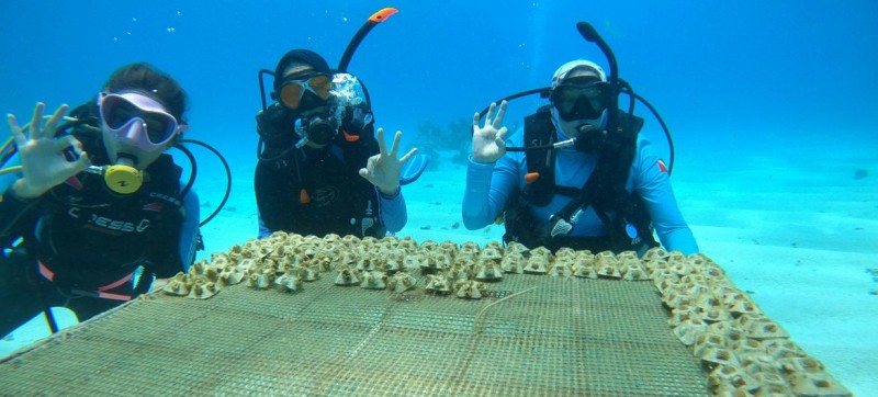 Women lead marine restoration efforts in the UNESCO Seaflower Biosphere Reserve