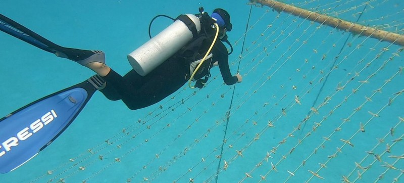 Women lead marine restoration efforts in the UNESCO Seaflower Biosphere Reserve