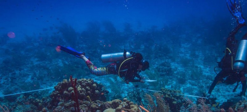 Women lead marine restoration efforts in the UNESCO Seaflower Biosphere Reserve