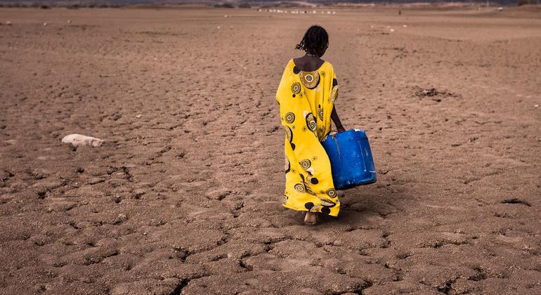 COP27: Week two opens with focus on water, women and more negotiations on loss and damage