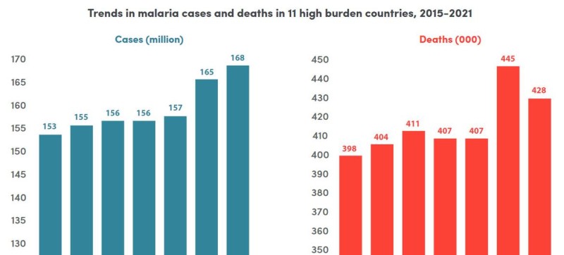 Countries held the line against malaria cases and deaths in 2021: WHO report  