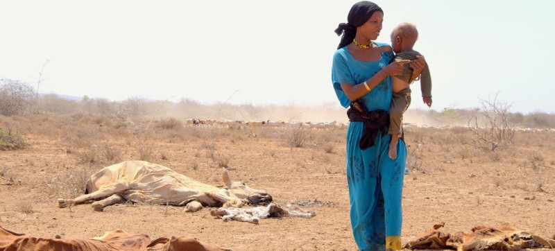 Kenya: Severe drought fuels malnutrition, reduces hospital-delivery births in Turkana County