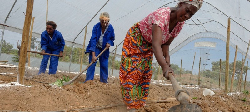 ‘Just Transition’ policies needed to create 20 million green jobs: UN report  