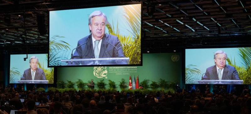 ‘Without nature, we have nothing’: UN chief sounds alarm at key UN biodiversity event