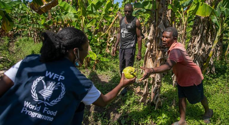 No time to waste, as Haiti famine risk rises, warns UN emergency food aid agency