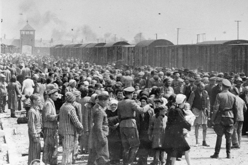 Home, belonging, and the Holocaust