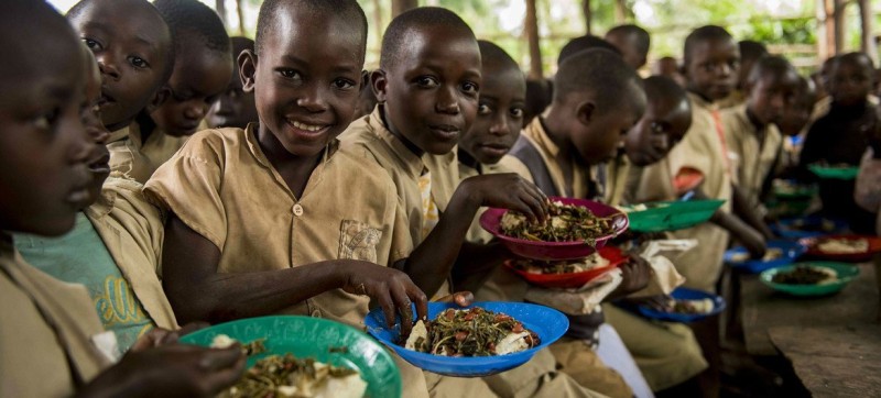 Education: More investment in school health, nutrition, will realize childhood potential