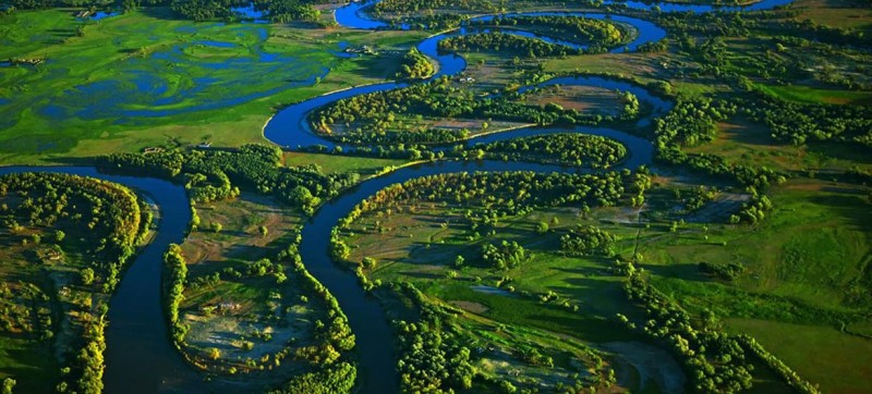 Revive and restore wetlands, home to 40 per cent of all biodiversity