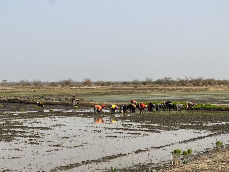 Changing lives in The Gambia: A UN Resident Coordinator Blog