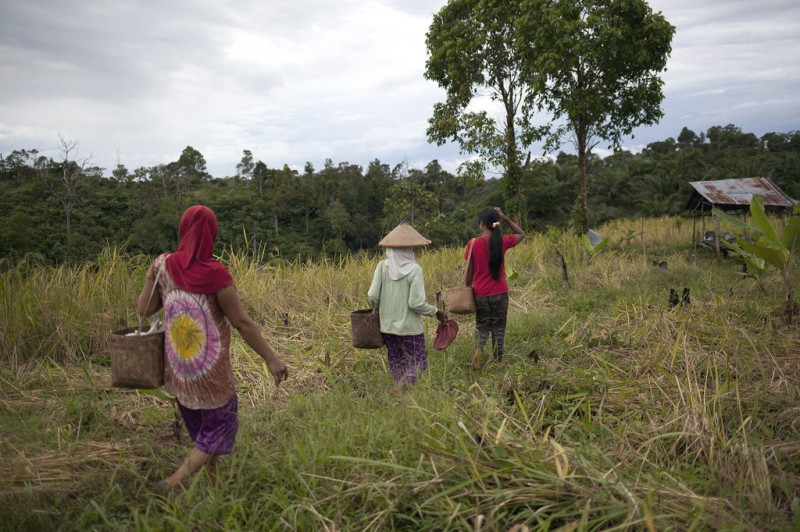 First Person: The Indonesian power ranger