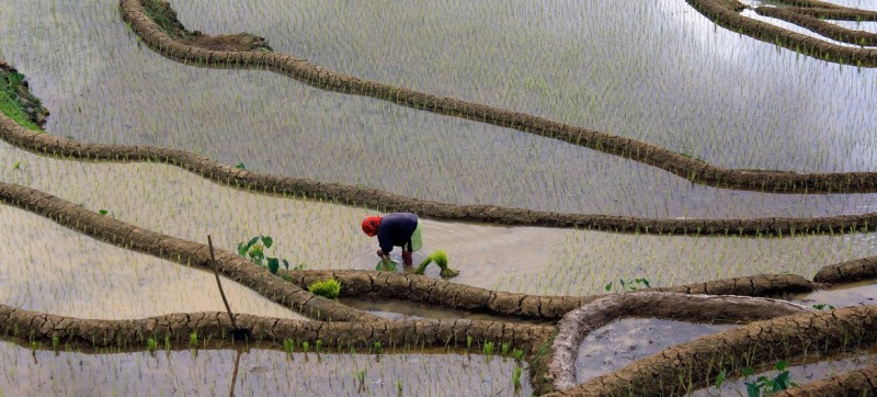 UN’s nuclear agency and food and agriculture wing announce key commitments to tackle global water crisis