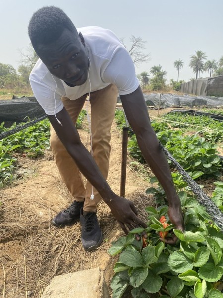 First Person: Passion to feed a healthier Gambia