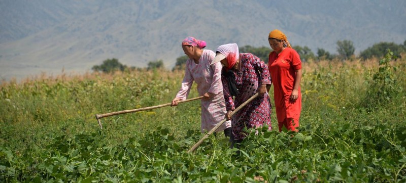 Gender inequalities in food and agriculture are costing world $1 trillion: FAO