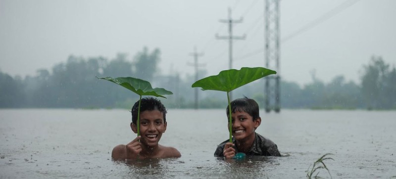 Human, economic, environmental toll of climate change on the rise: WMO