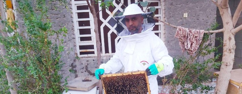 Plenty abuzz on World Bee Day