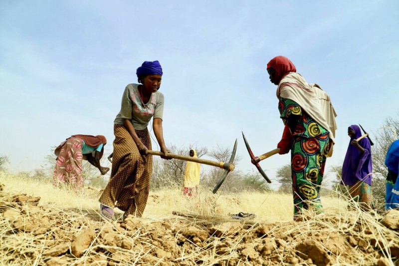 Combating drought, one garden at a time