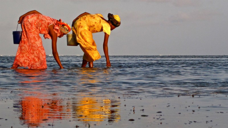 From the Field: Boosting ocean literacy