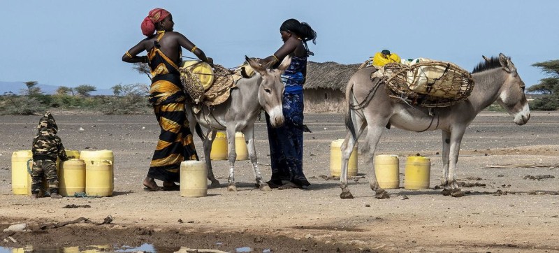 Women suffer disproportionately from ravages of drought, desertification