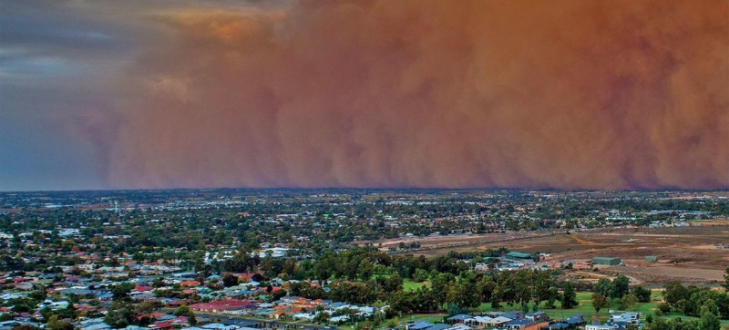 UN issues global alert to combat severe sand and dust storms