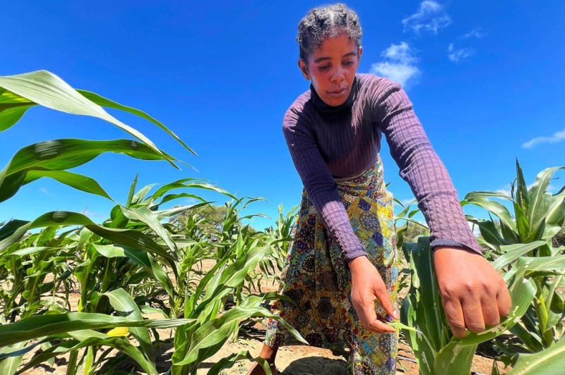 First Person: Water key to cultivating financial independence in southern Madagascar