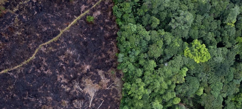 Landmark climate change hearings represent largest ever case before UN world court