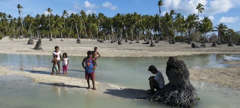 Landmark climate change hearings represent largest ever case before UN world court