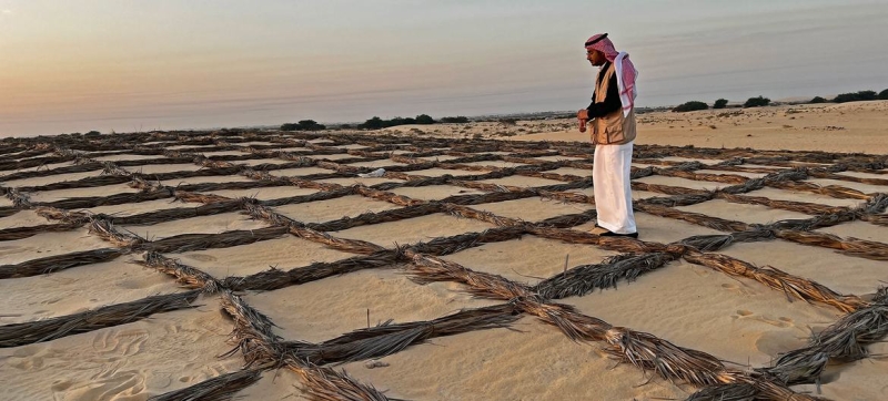 Spirit of resilience braces desertification winds in Saudi Arabia